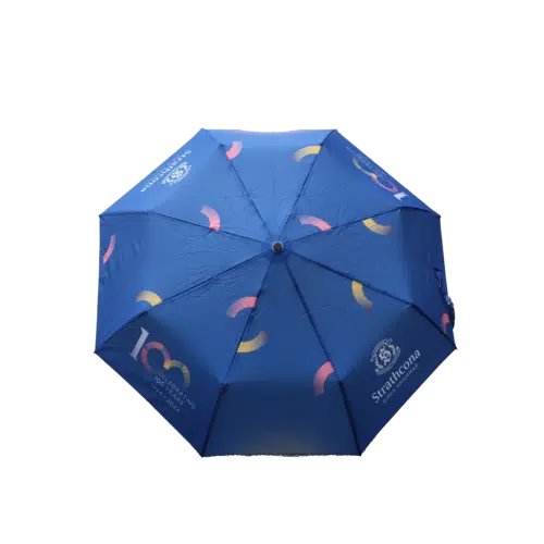 Compact Centenary Umbrella