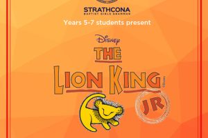 Lion King for website